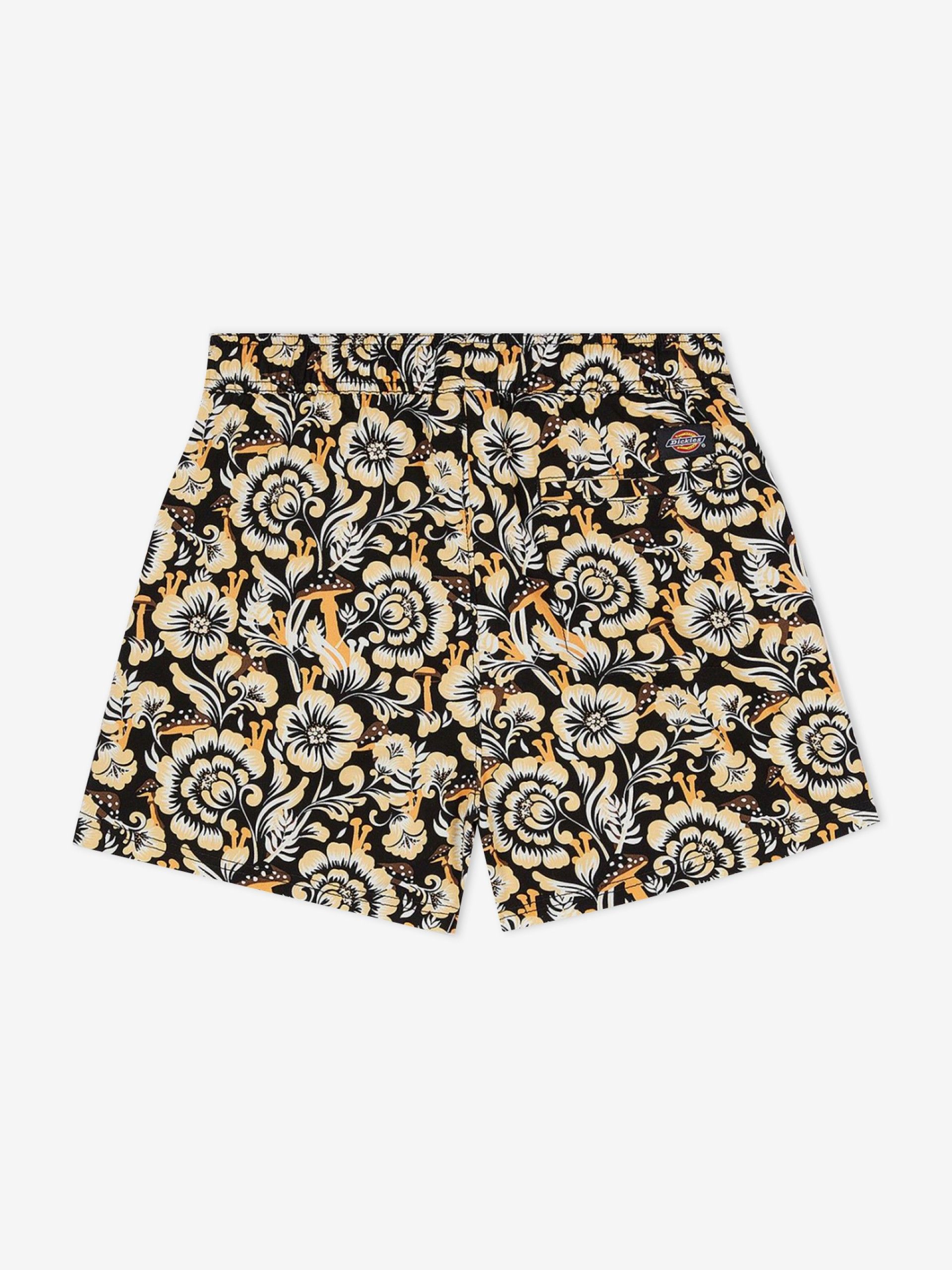 Dickies Roseburg Shorts