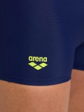 Arena Branch Swimming Shorts