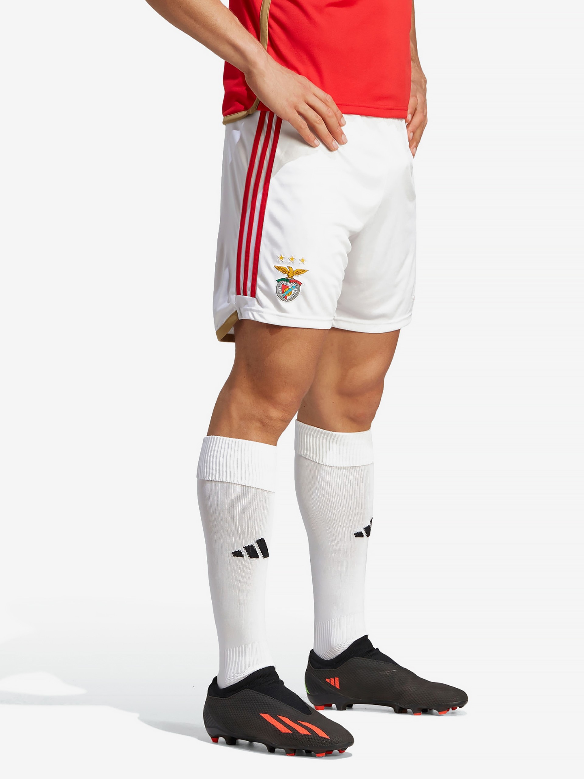 Calções Adidas Equipamento Principal S. L. Benfica EP23/24
