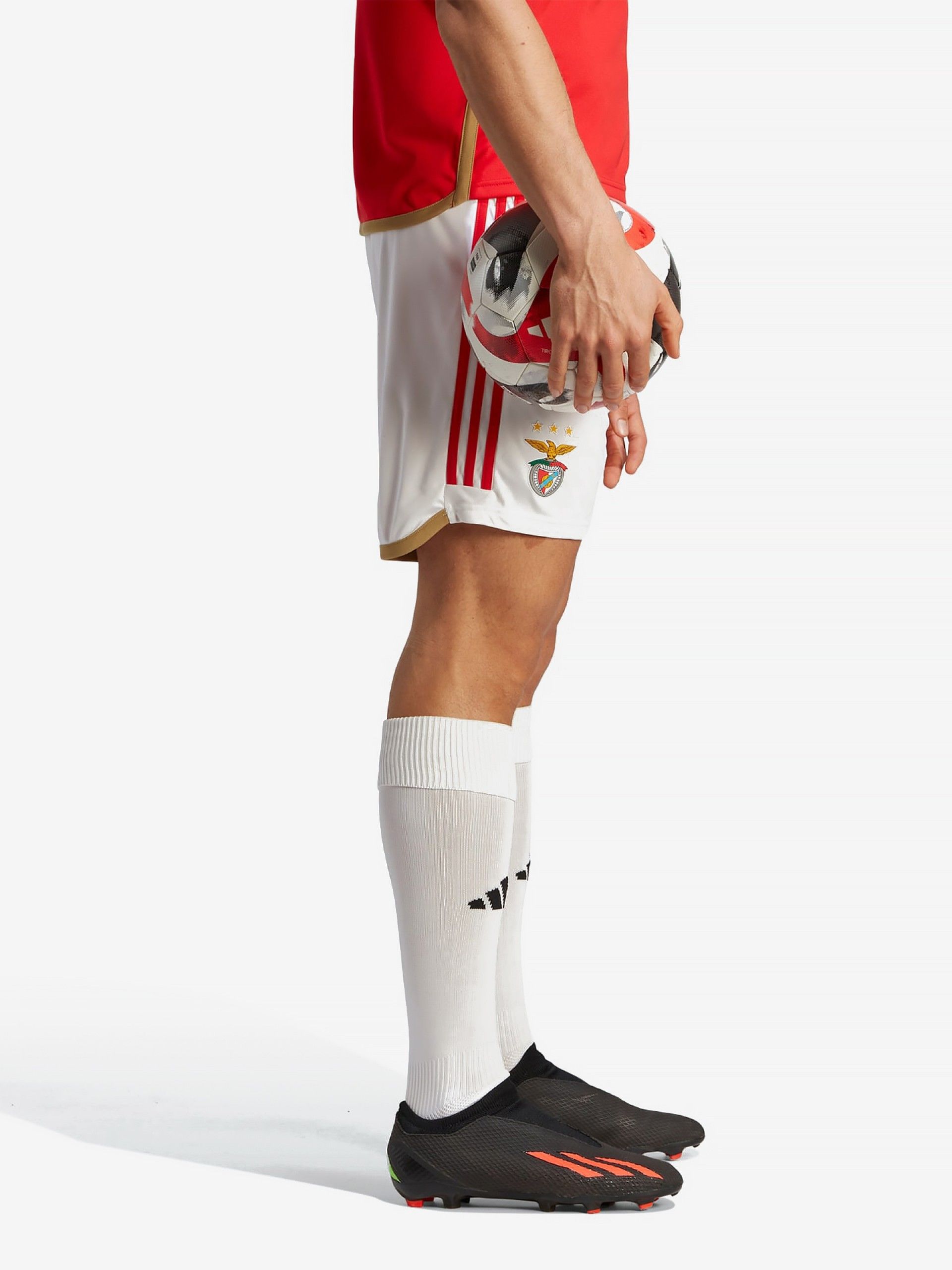 Calções Adidas Equipamento Principal S. L. Benfica EP23/24