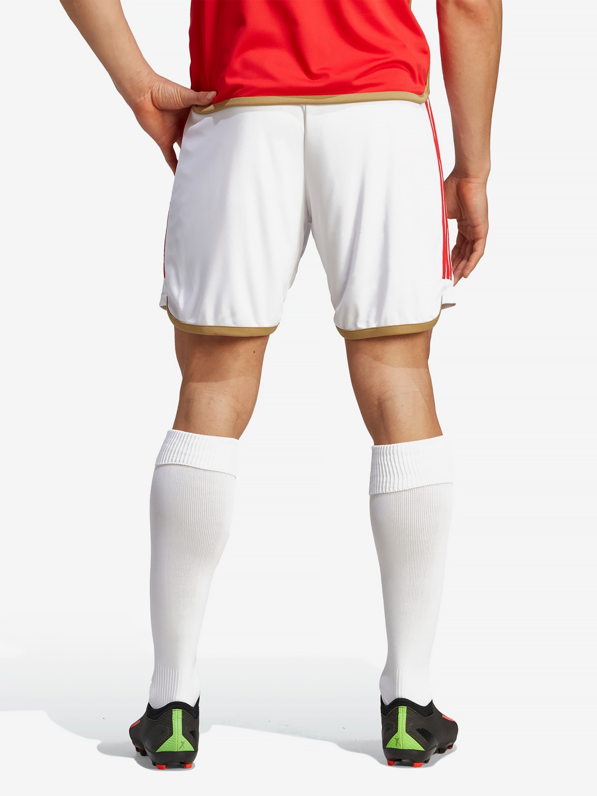 Calções Adidas Equipamento Principal S. L. Benfica EP23/24