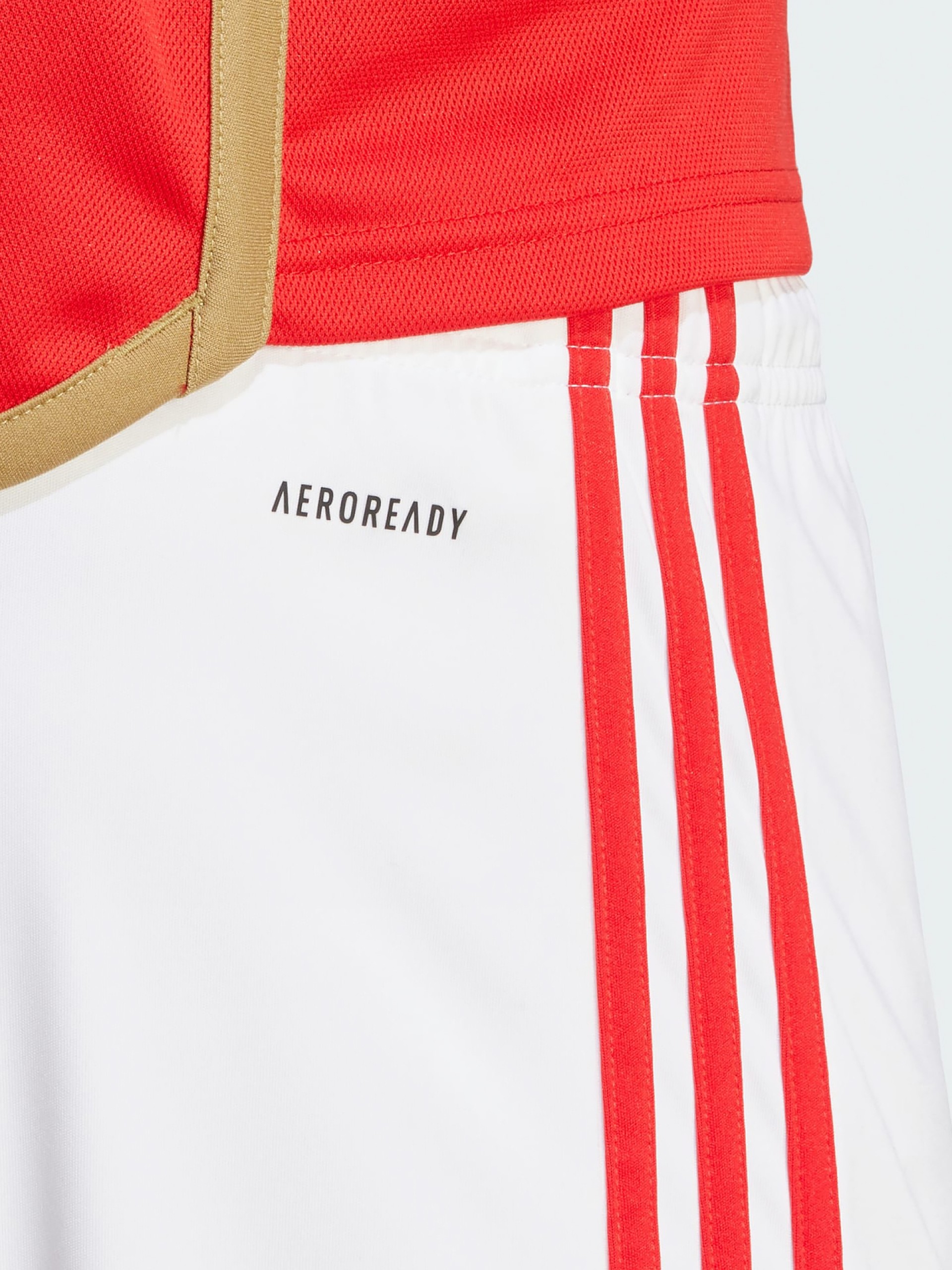 Calções Adidas Equipamento Principal S. L. Benfica EP23/24