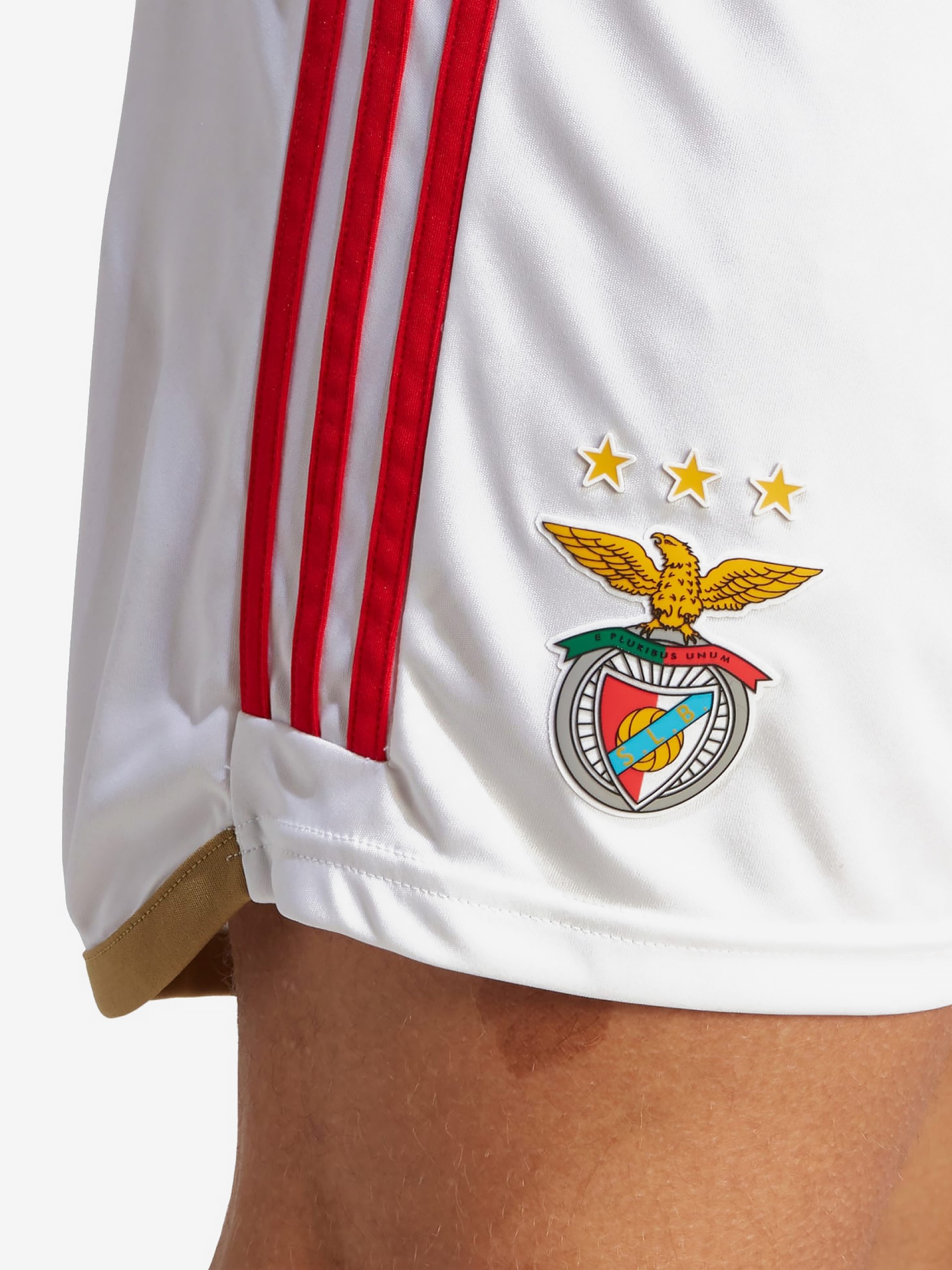 Calções Adidas Equipamento Principal S. L. Benfica EP23/24
