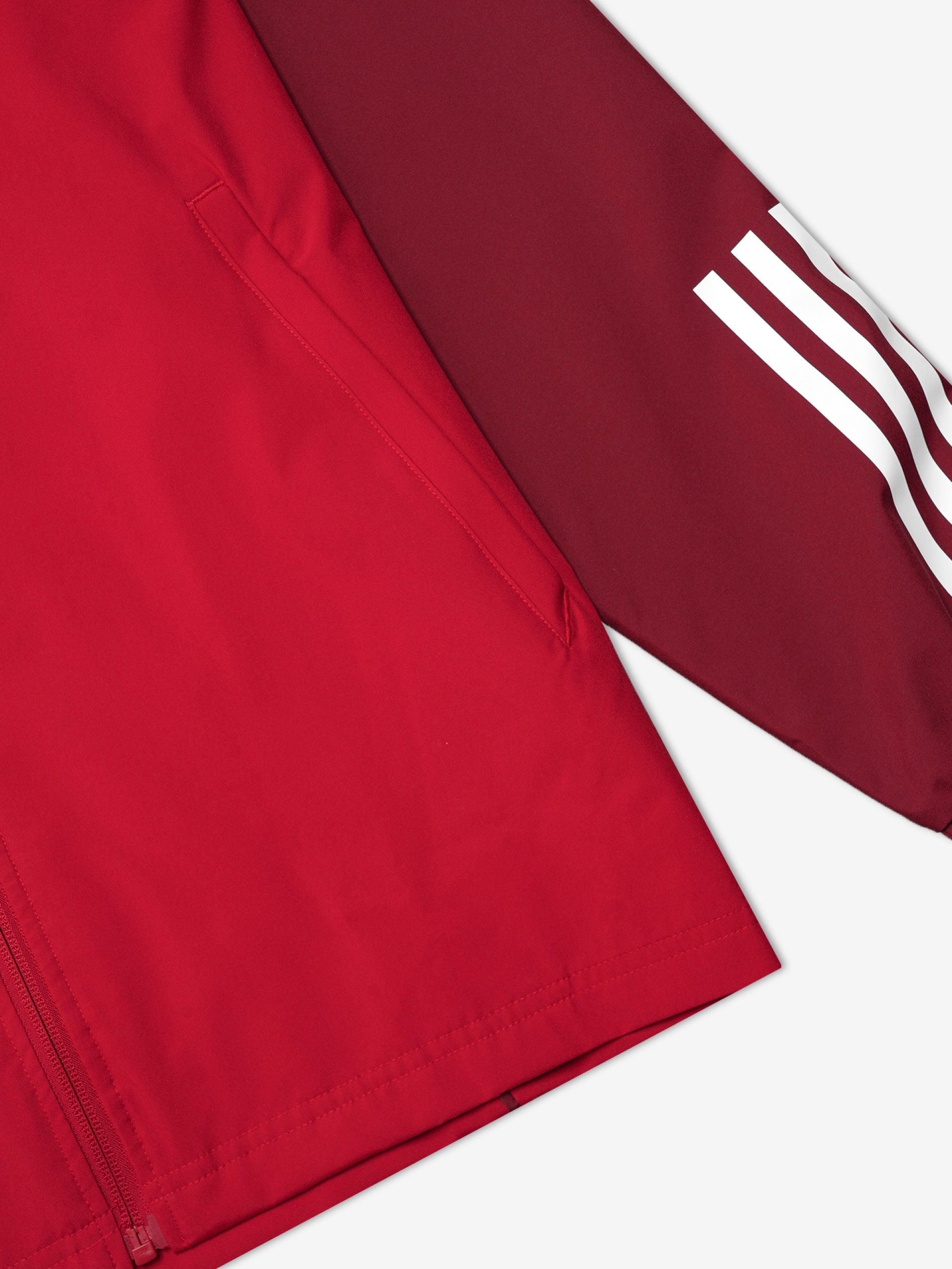 Adidas S. L. Benfica Away 23/24 Jacket