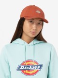 Dickies Hardwick Bombay Cap