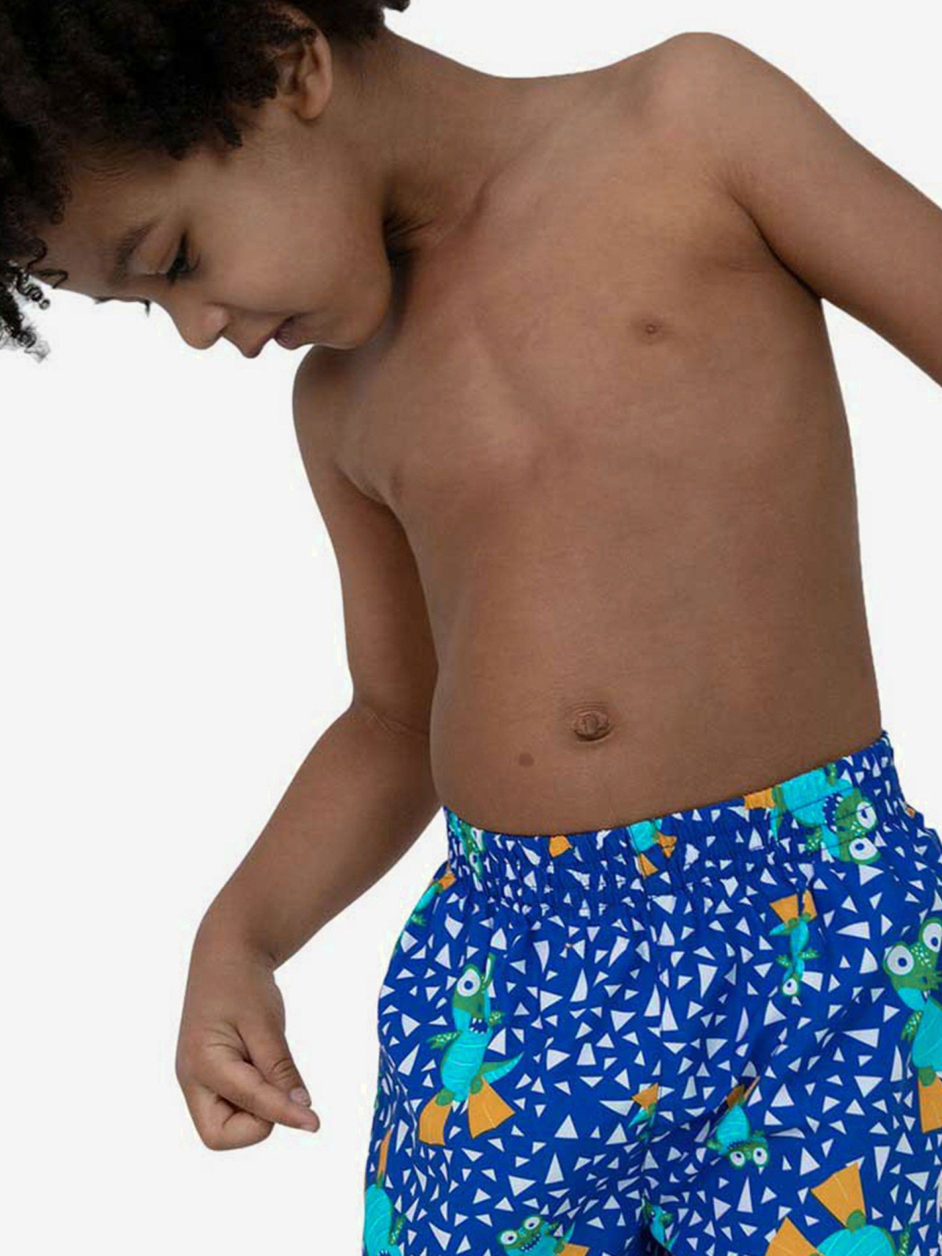 Calções de Natação Speedo Corey Croc