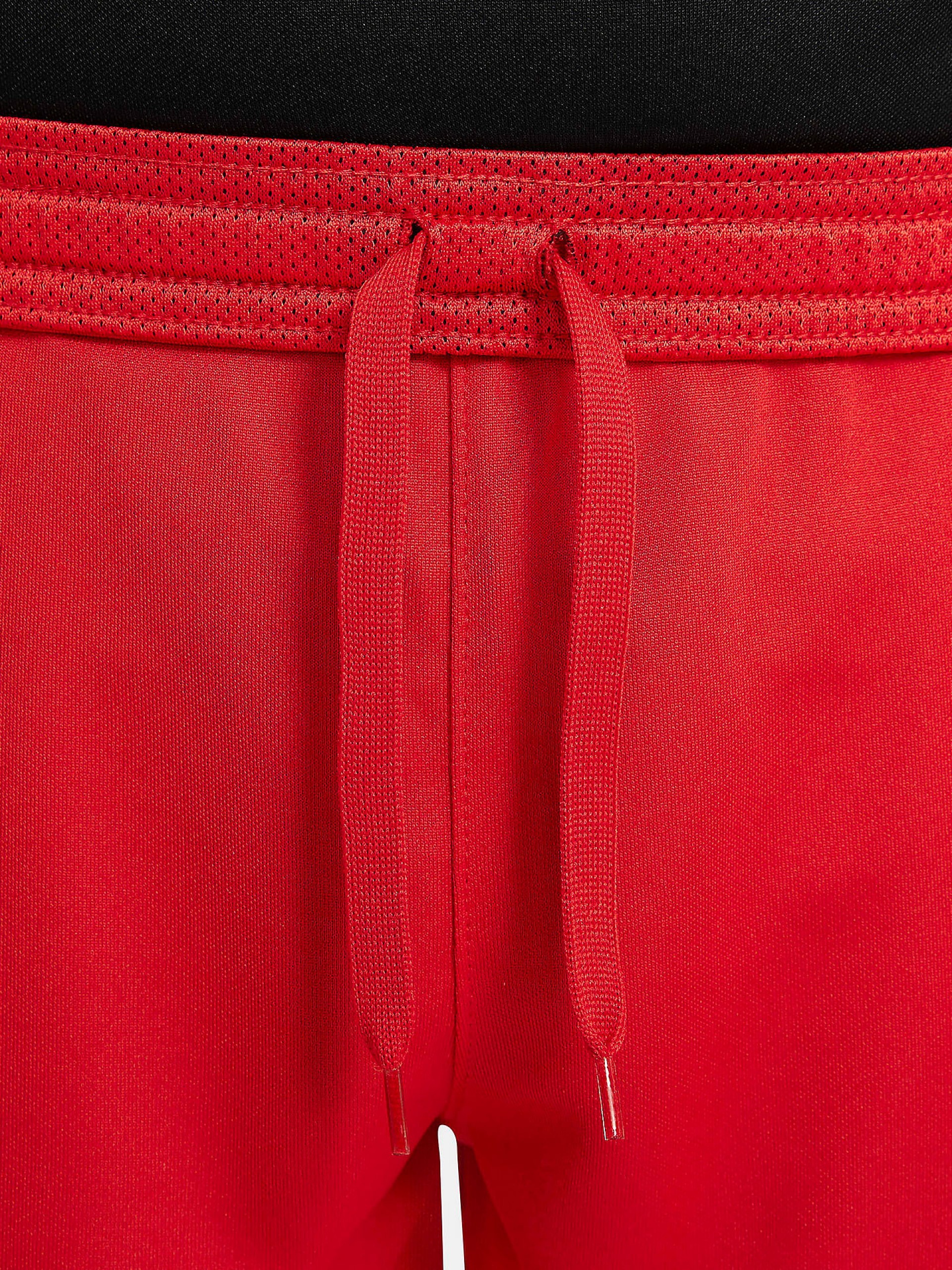 Calções Nike Dri-FIT Academy