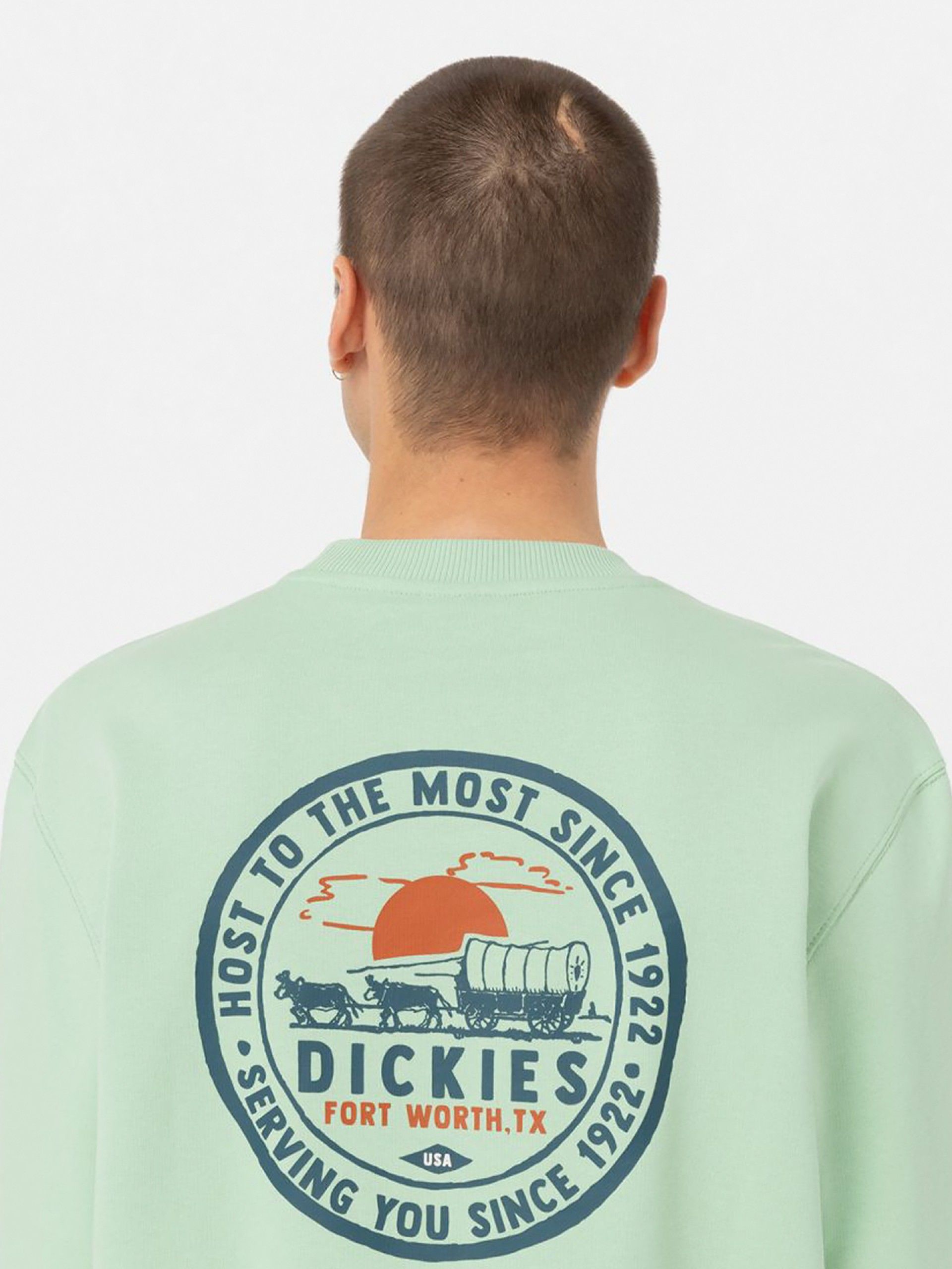 Camisola Dickies Greensburg