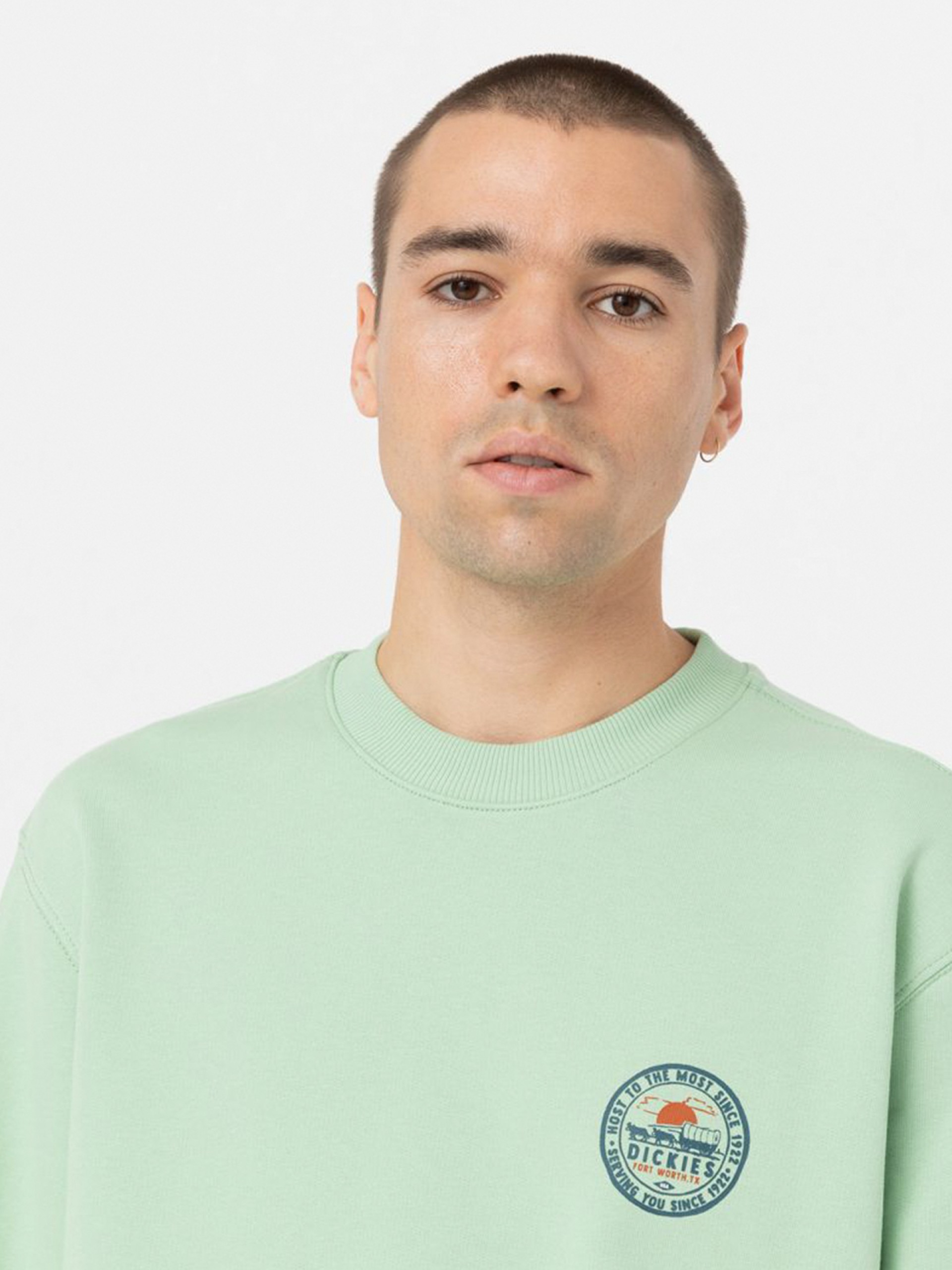 Camisola Dickies Greensburg