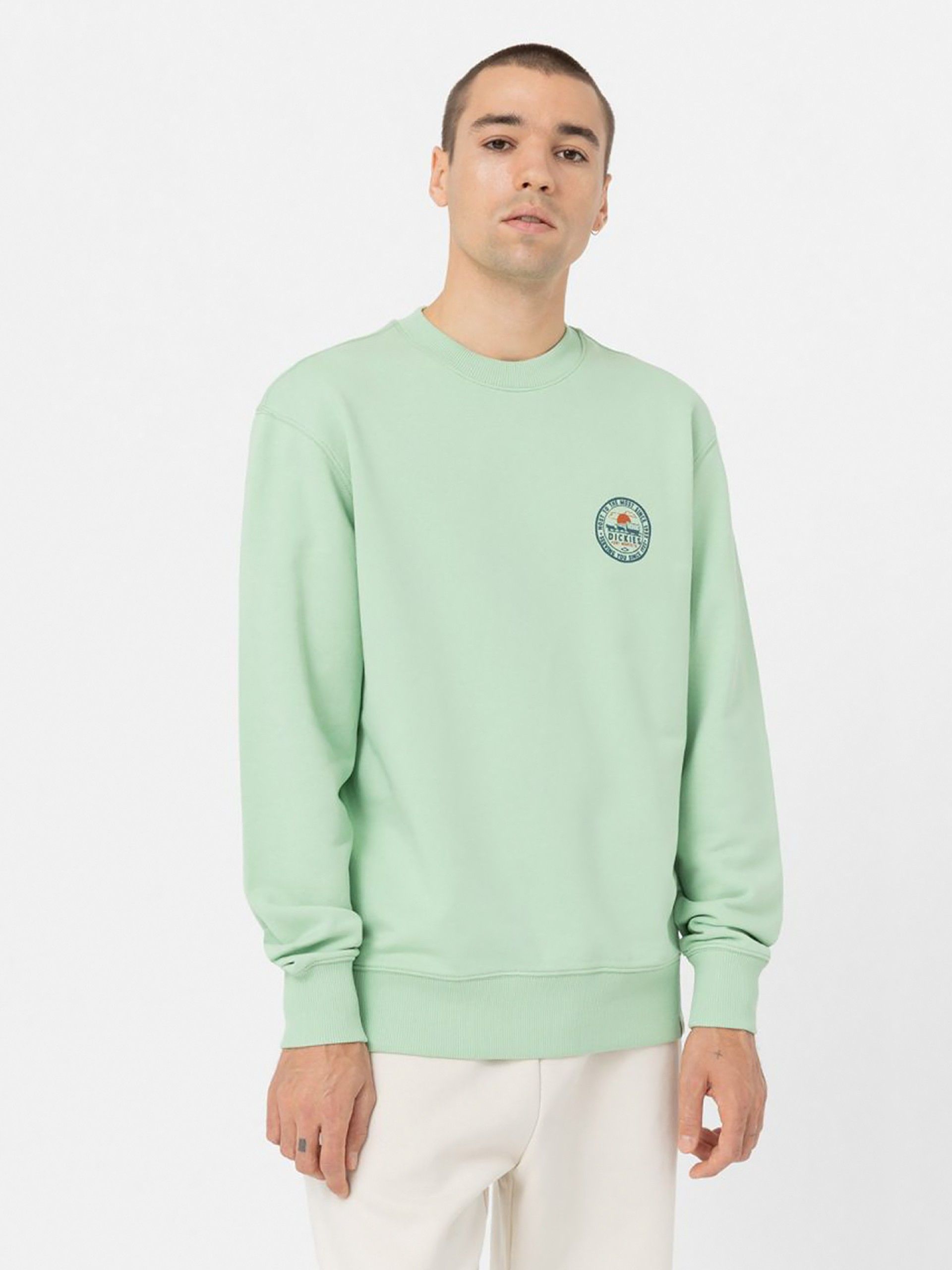 Camisola Dickies Greensburg