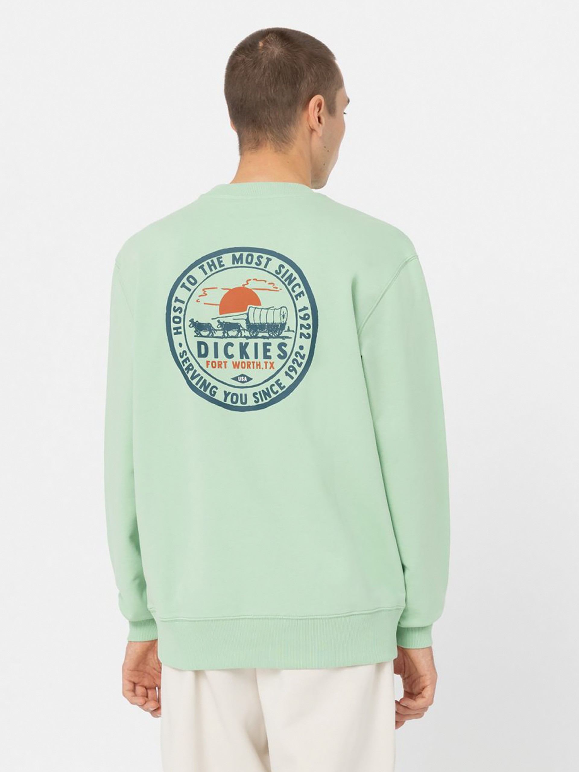 Camisola Dickies Greensburg