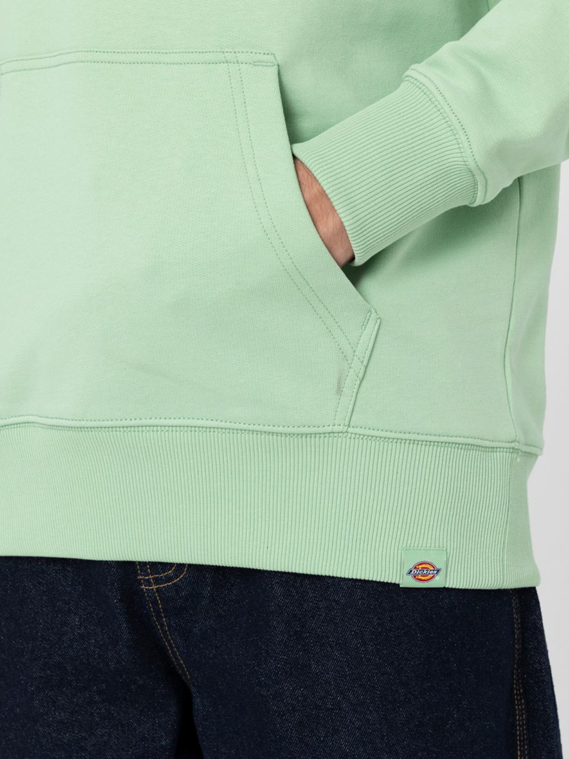 Sudadera con Capucha Dickies Greensburg Hood