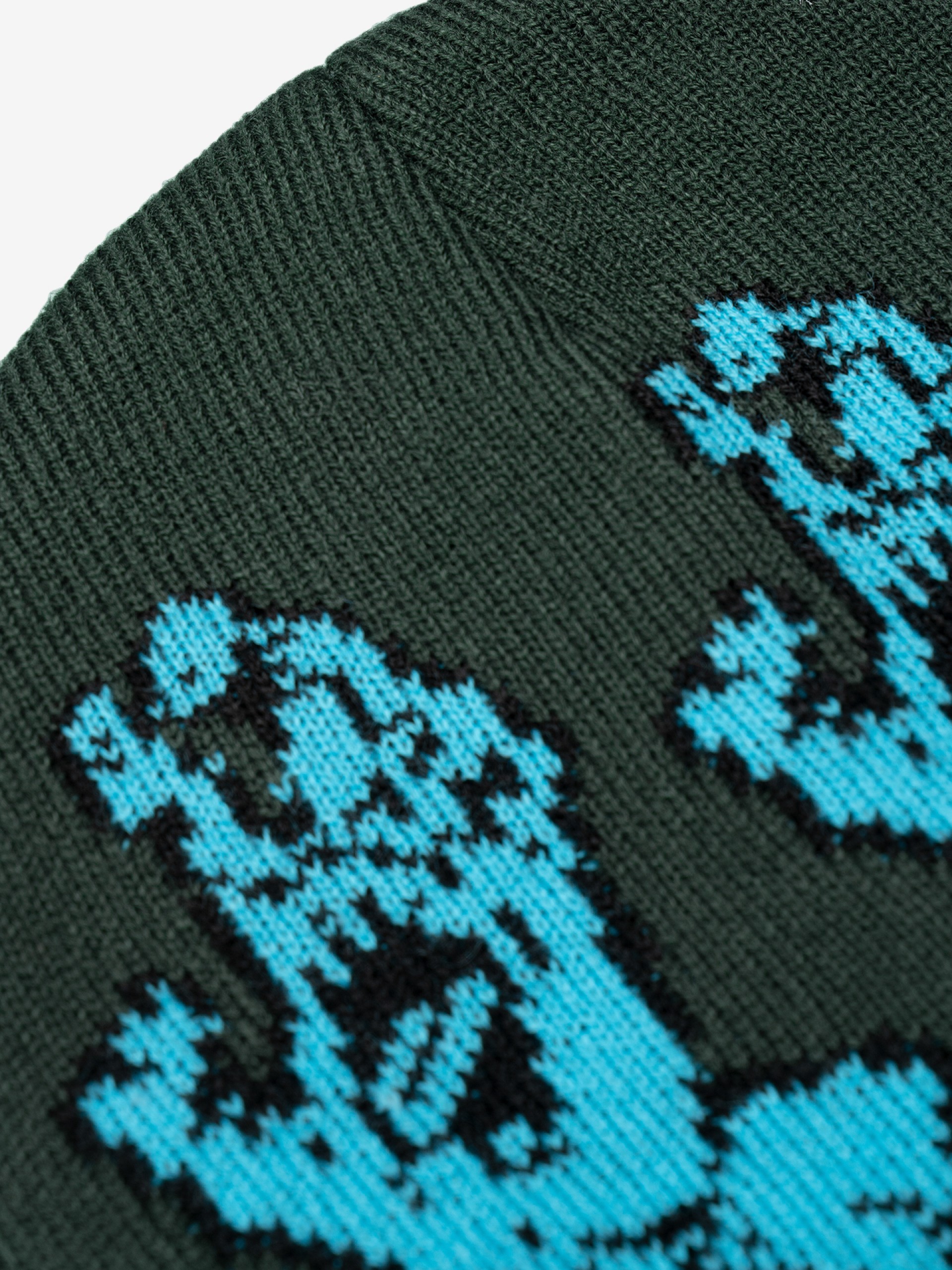 Santa Cruz Screaming Line Up Beanie