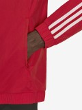 Casaco Adidas S. L. Benfica Hino EP23/24