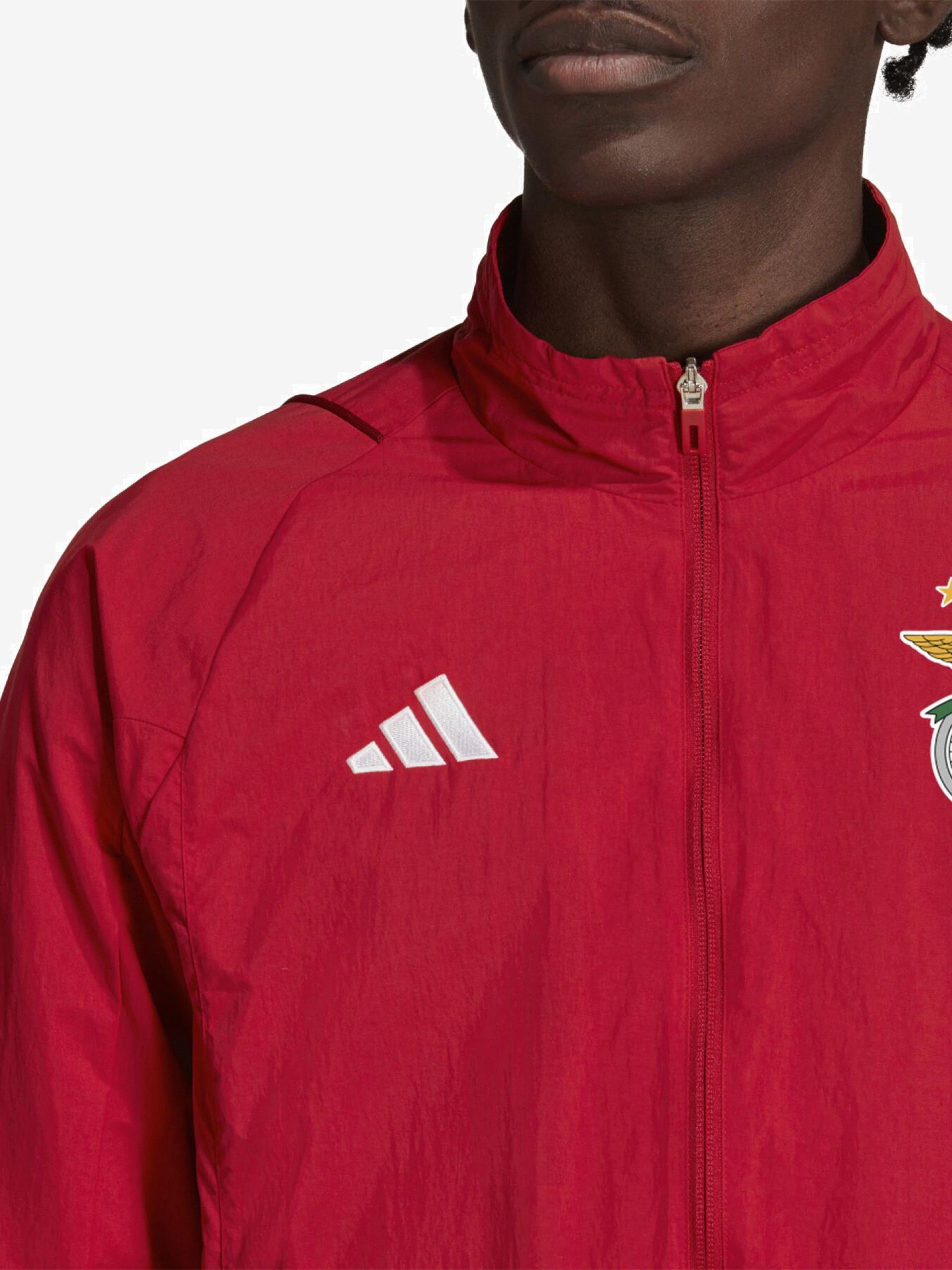 Adidas S. L. Benfica Anthem 23/24 Jacket
