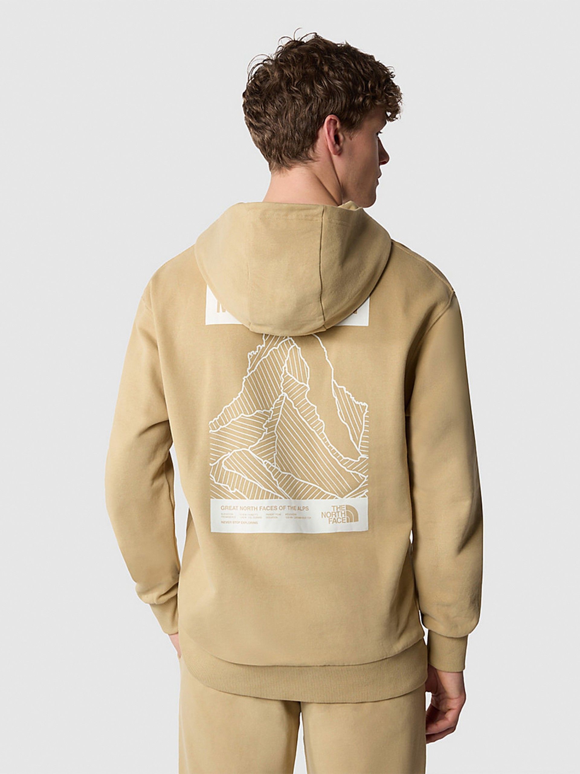 Sudadera con Capucha The North Face Matterhorn