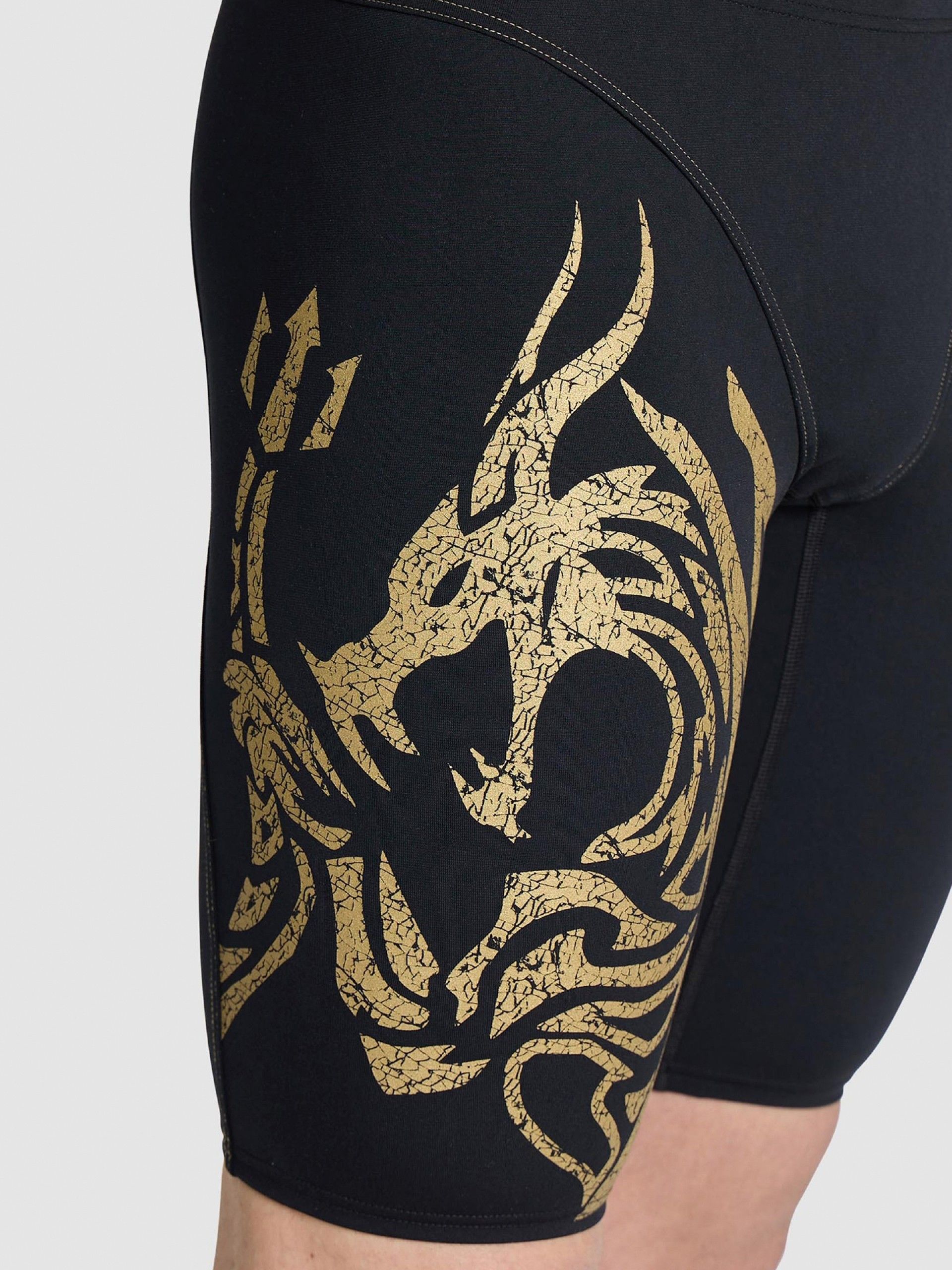 Arena Jammer Signature - Gregorio Paltrinieri Swimming Shorts