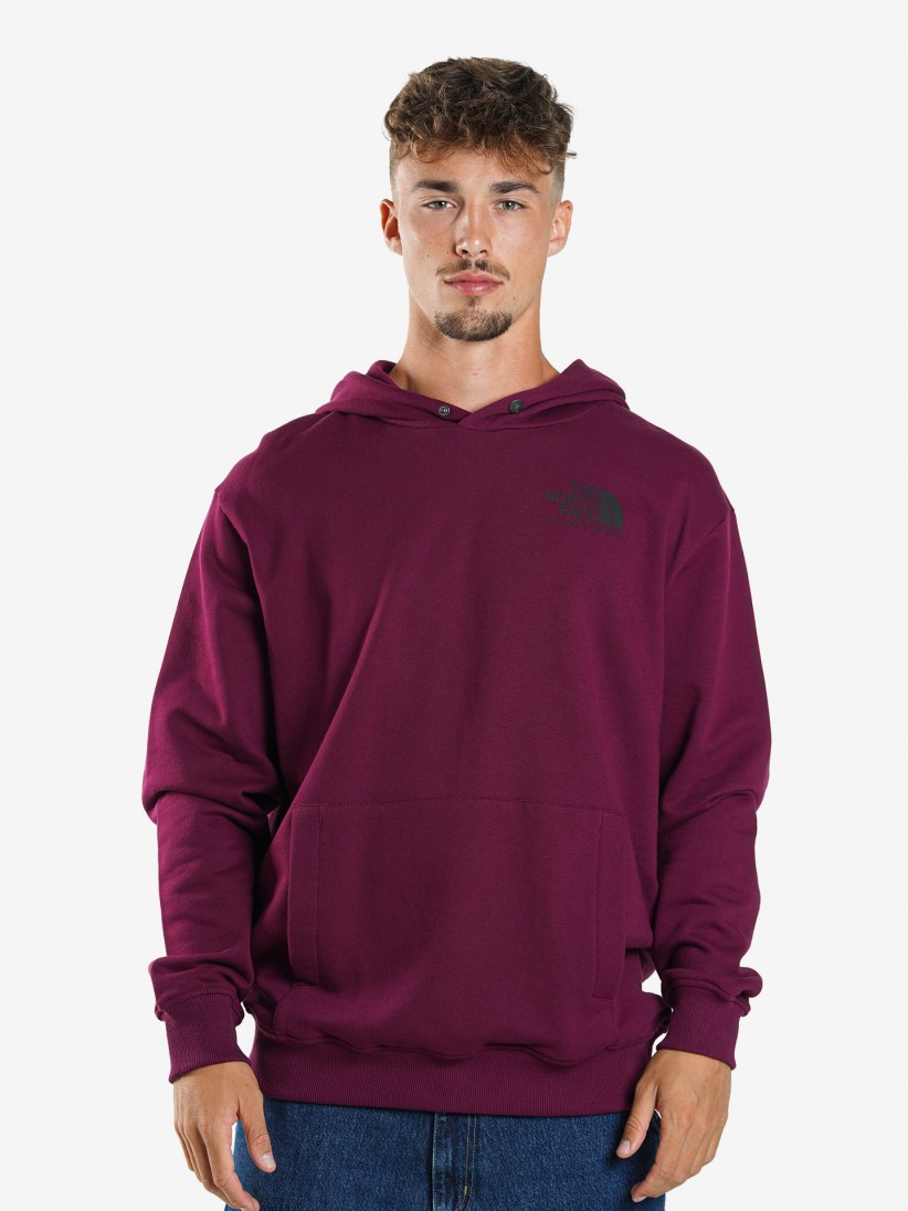 The North Face Coordinates Hood Hoodie