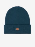 Gorro Dickies Gibsland