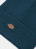 Dickies Gibsland Beanie