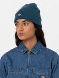 Gorro Dickies Gibsland