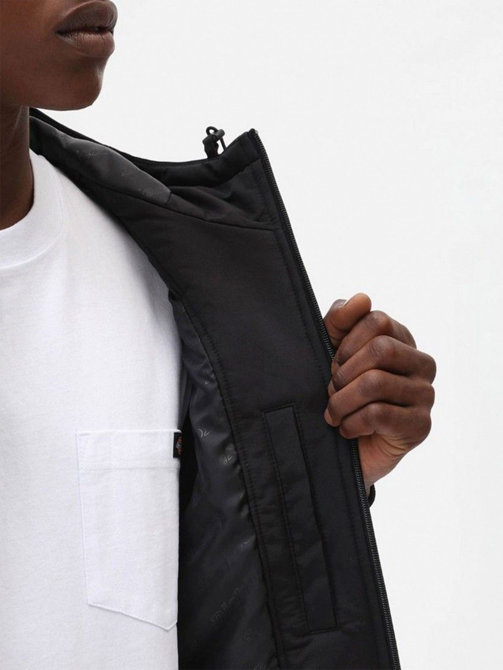 Chaqueta con Capucha Dickies New Sarpy Negra