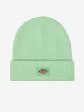 Dickies Gibsland Beanie