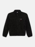 Dickies Mount Hope Fleece Jacket
