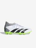 Adidas Predator Accuracy.3 J FG Football Boots