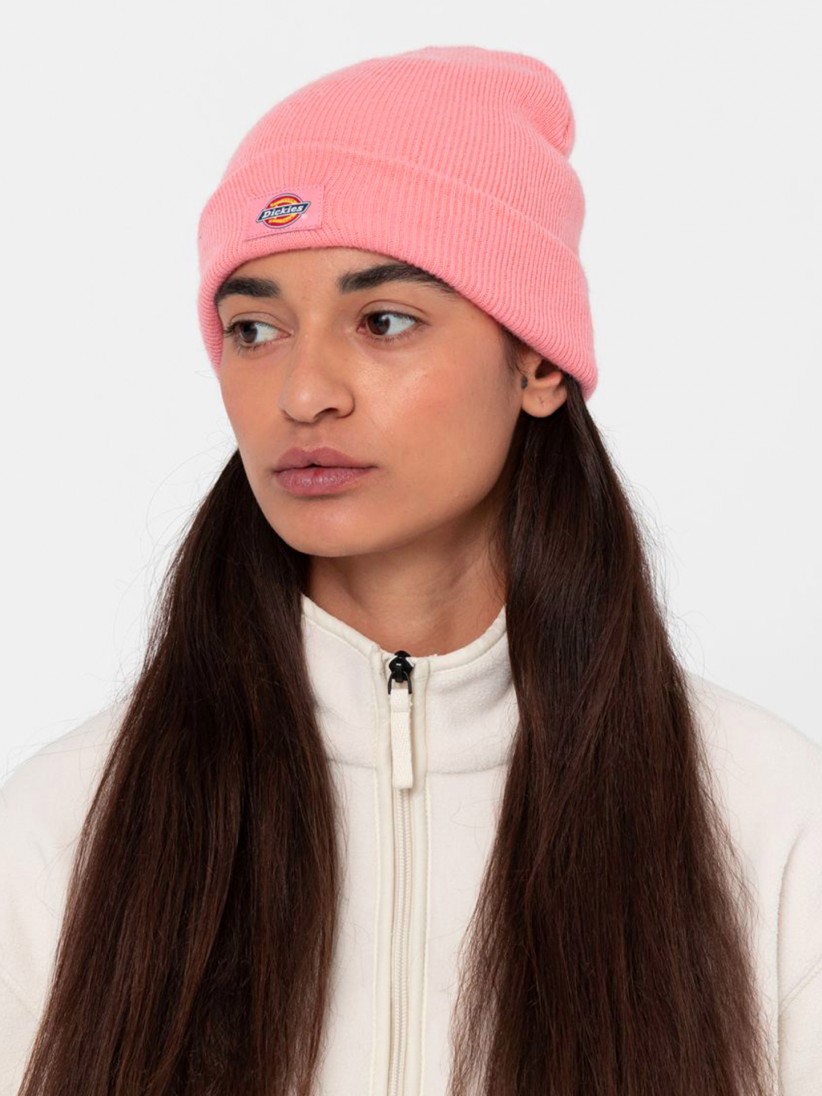 Dickies Gibsland Beanie