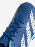Adidas Predator Accuracy.3 FG Football Boots