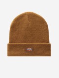 Gorro Dickies Gibsland