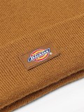 Gorro Dickies Gibsland