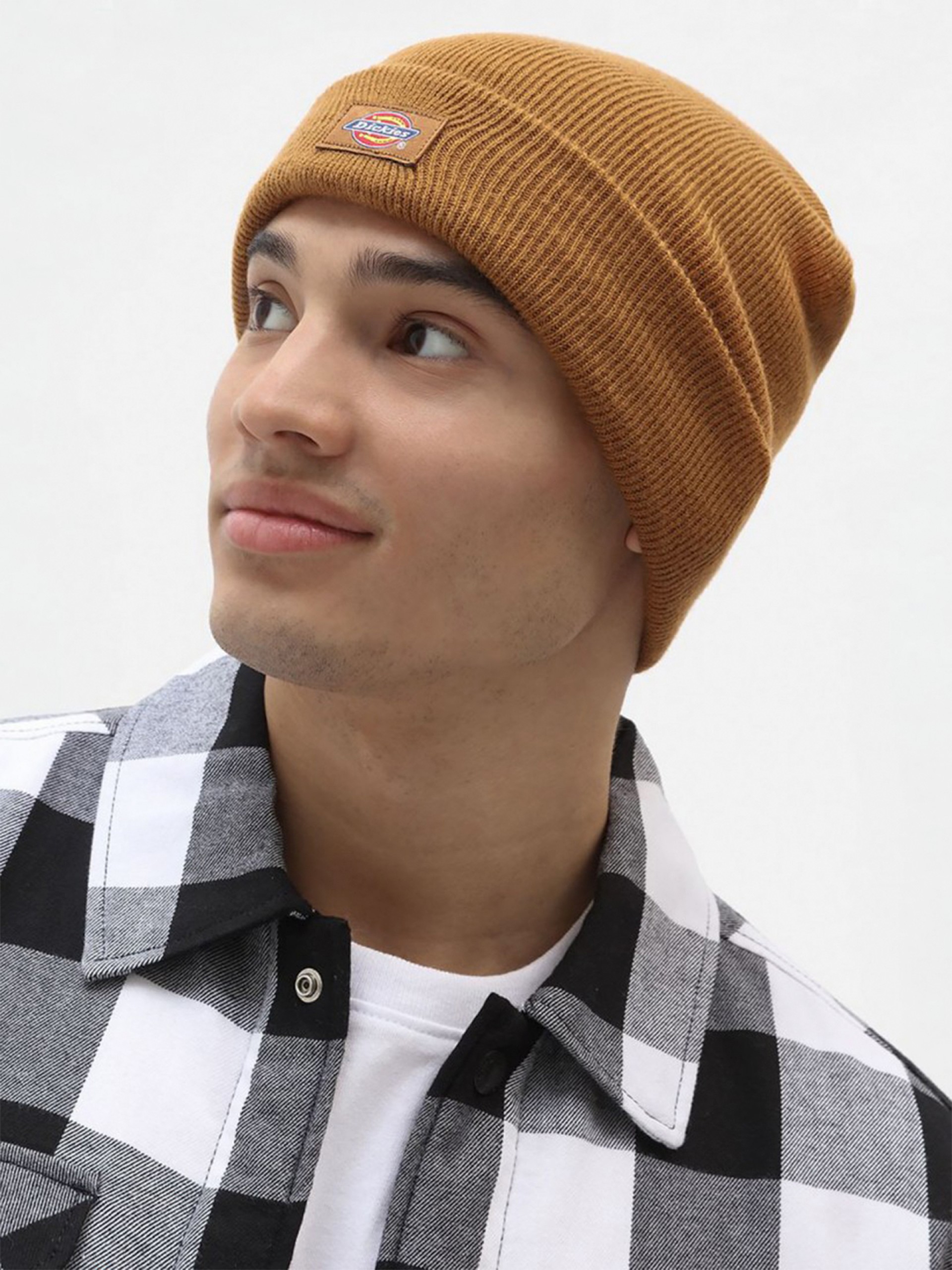 Gorro Dickies Gibsland