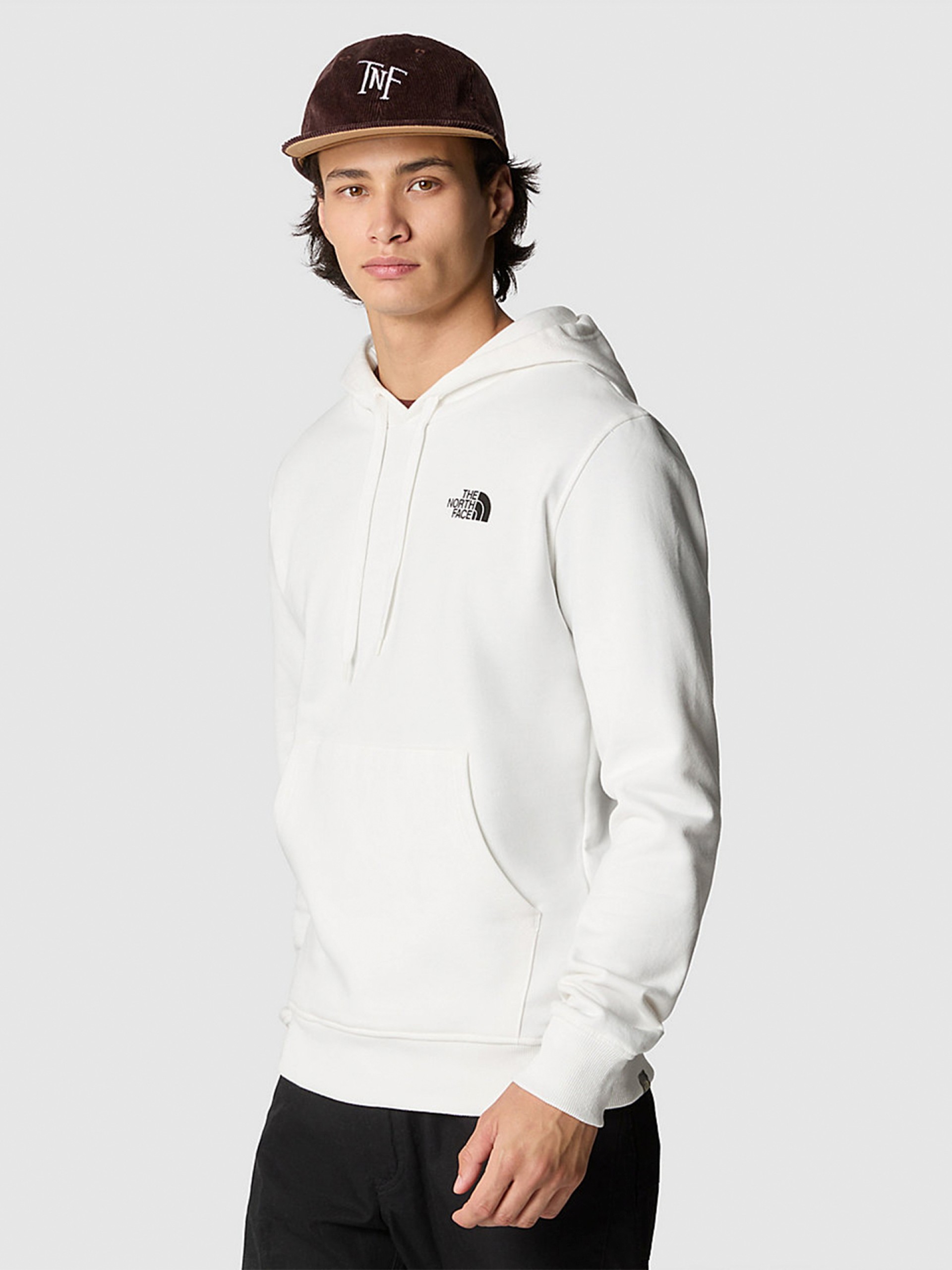 The North Face Seasonal Graphic Hood Hoodie