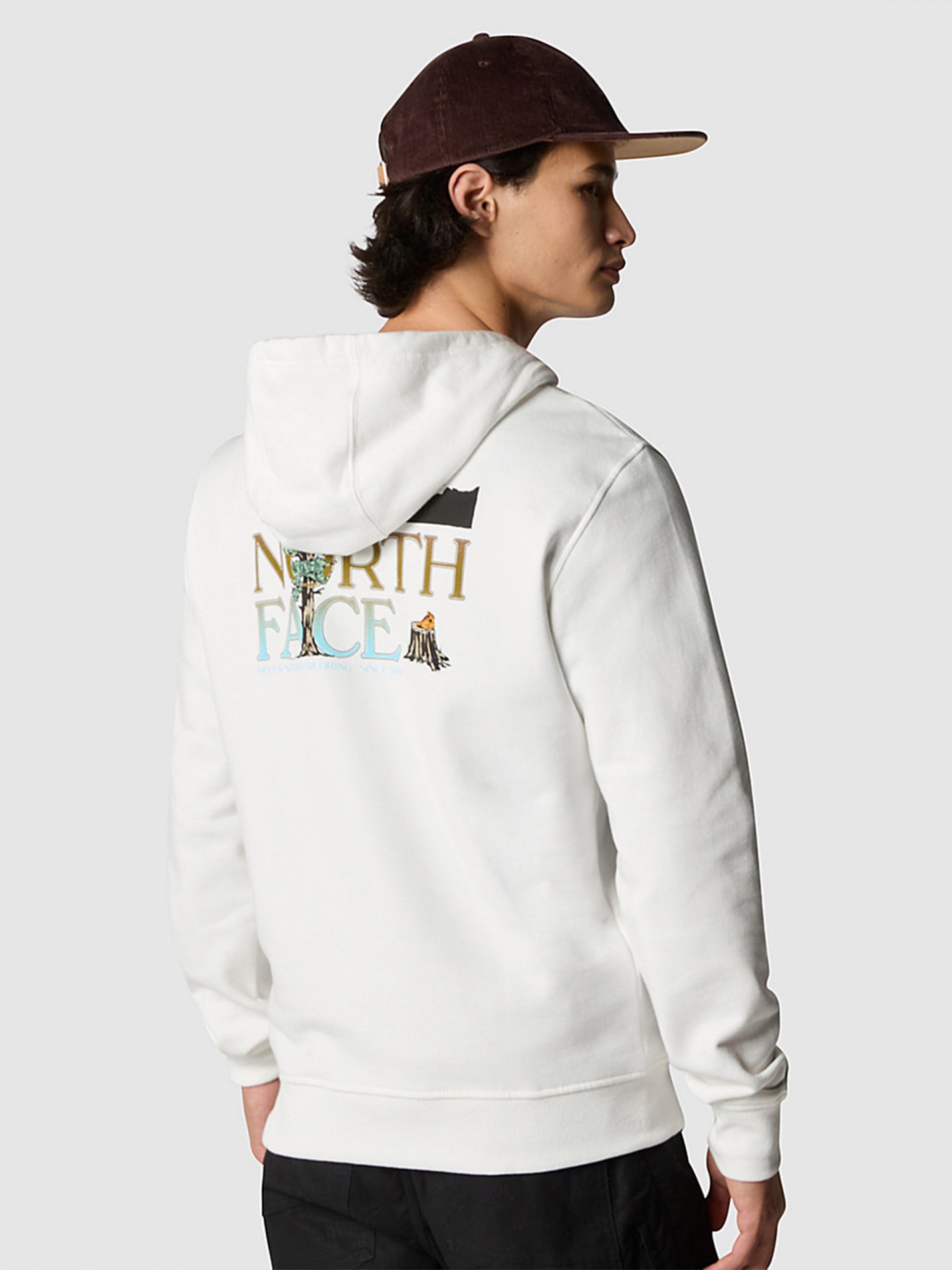 The North Face Seasonal Graphic Hood Hoodie