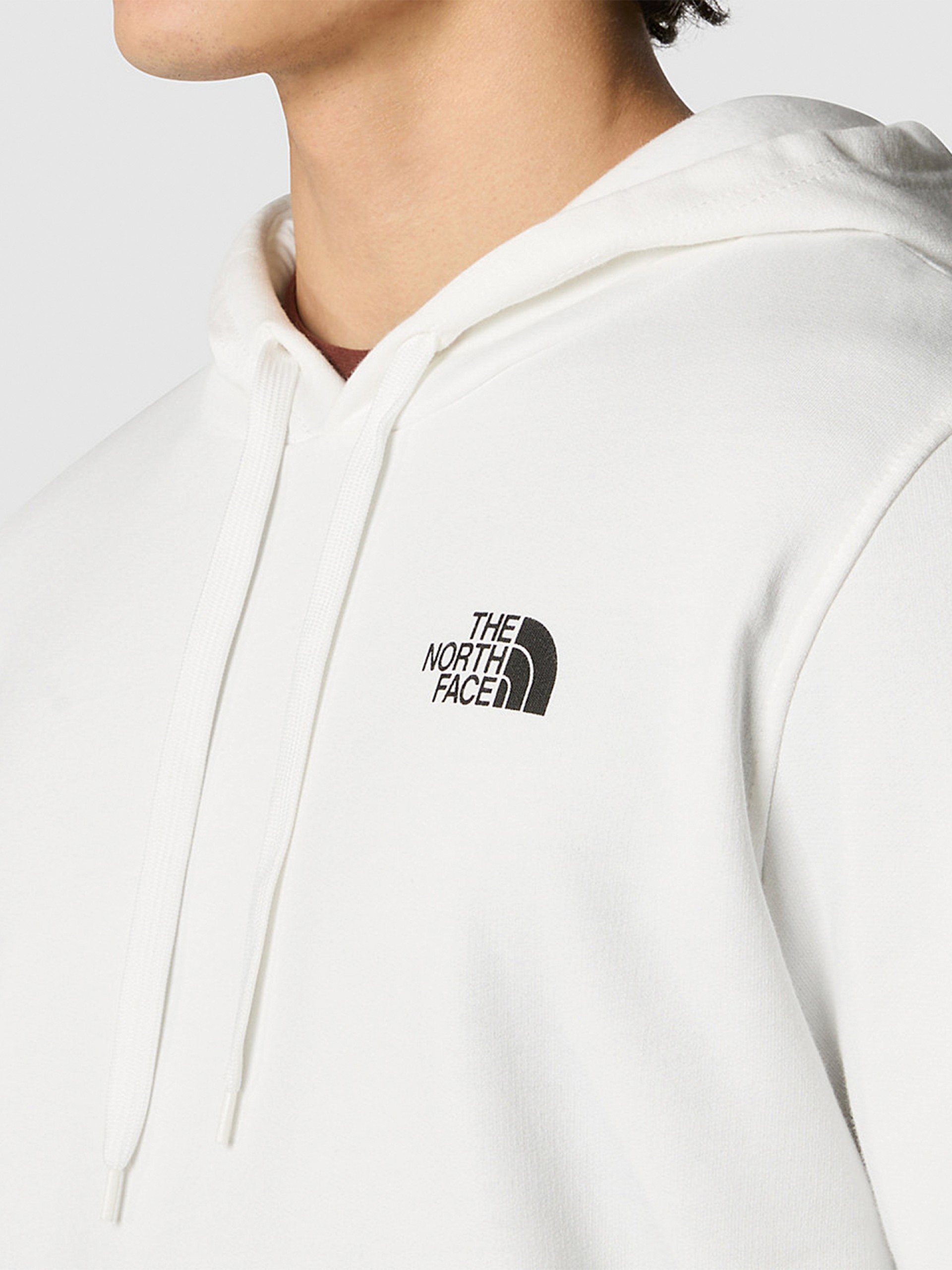 The North Face Seasonal Graphic Hood Hoodie