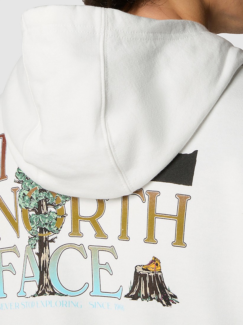 The North Face Seasonal Graphic Hood Hoodie
