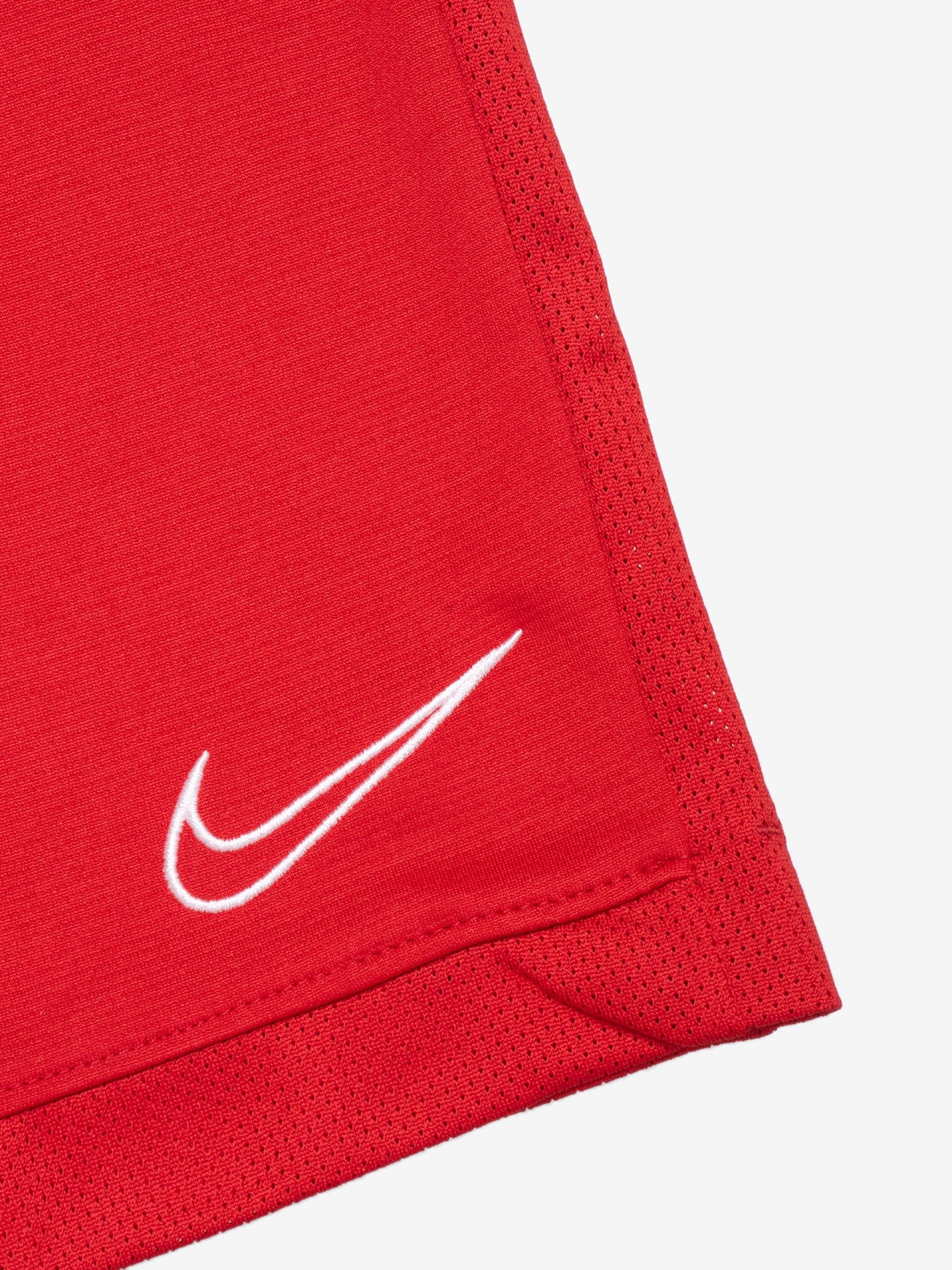 Calções Nike Academy