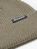 Dickies Woodworth Beanie