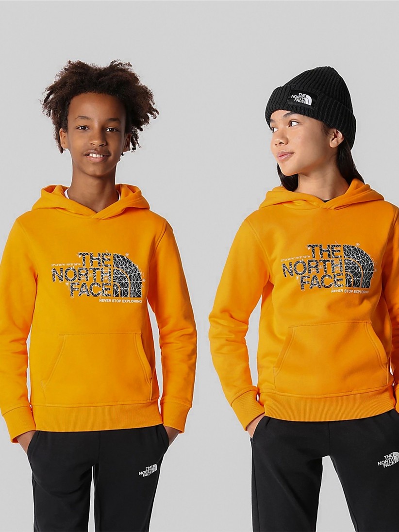 The north face drew on sale hoodie