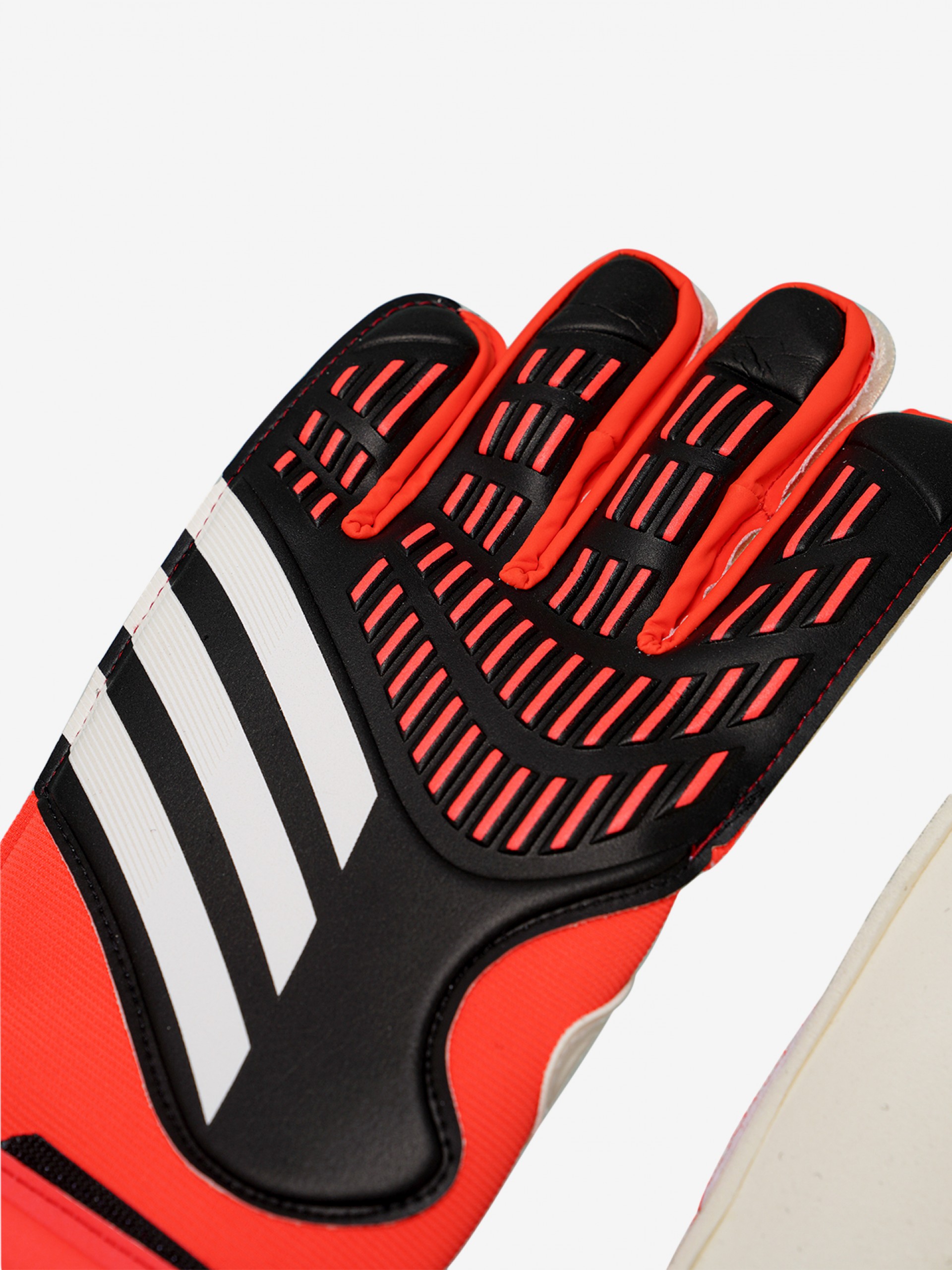 Luvas de Guarda-Redes Adidas Predator GL Match