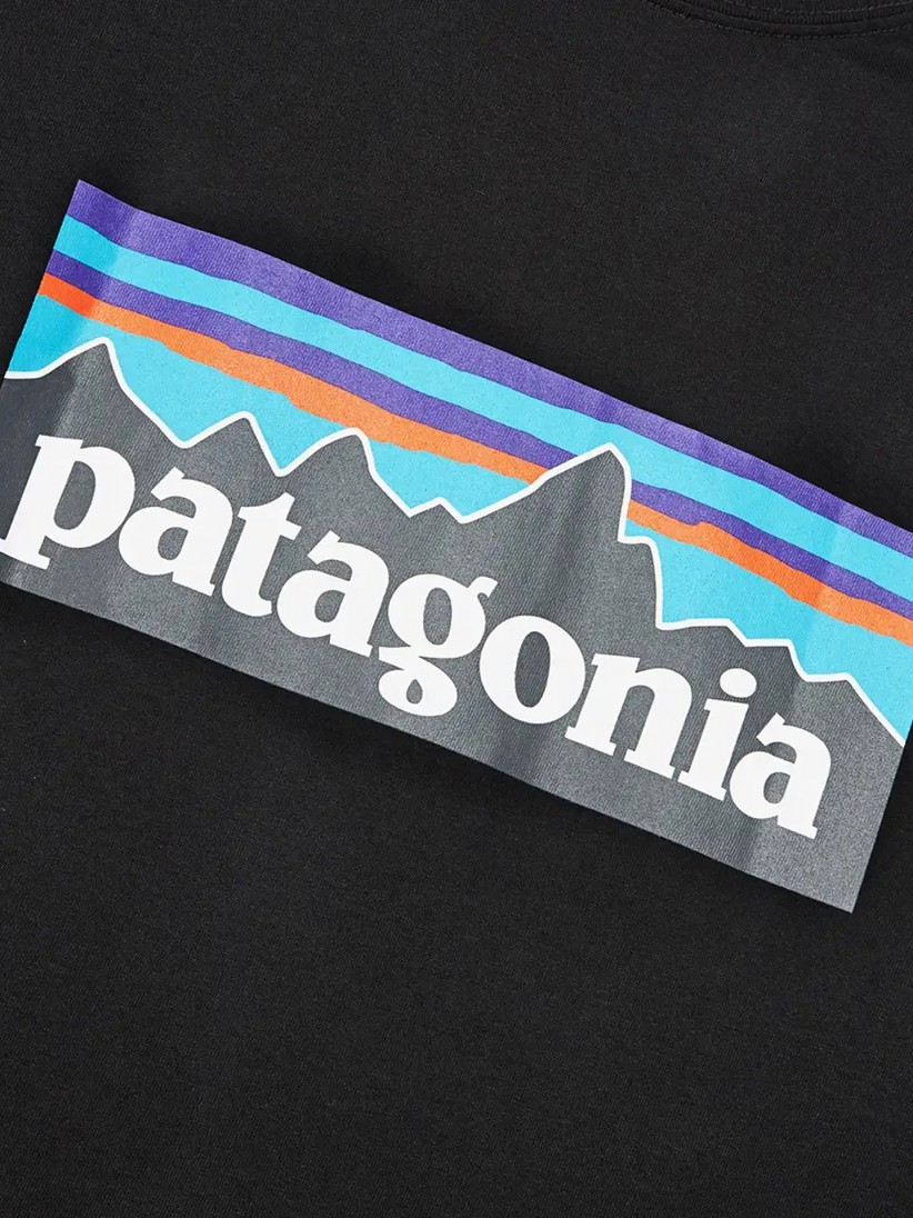 Camiseta Patagonia Logo Responsibilitee
