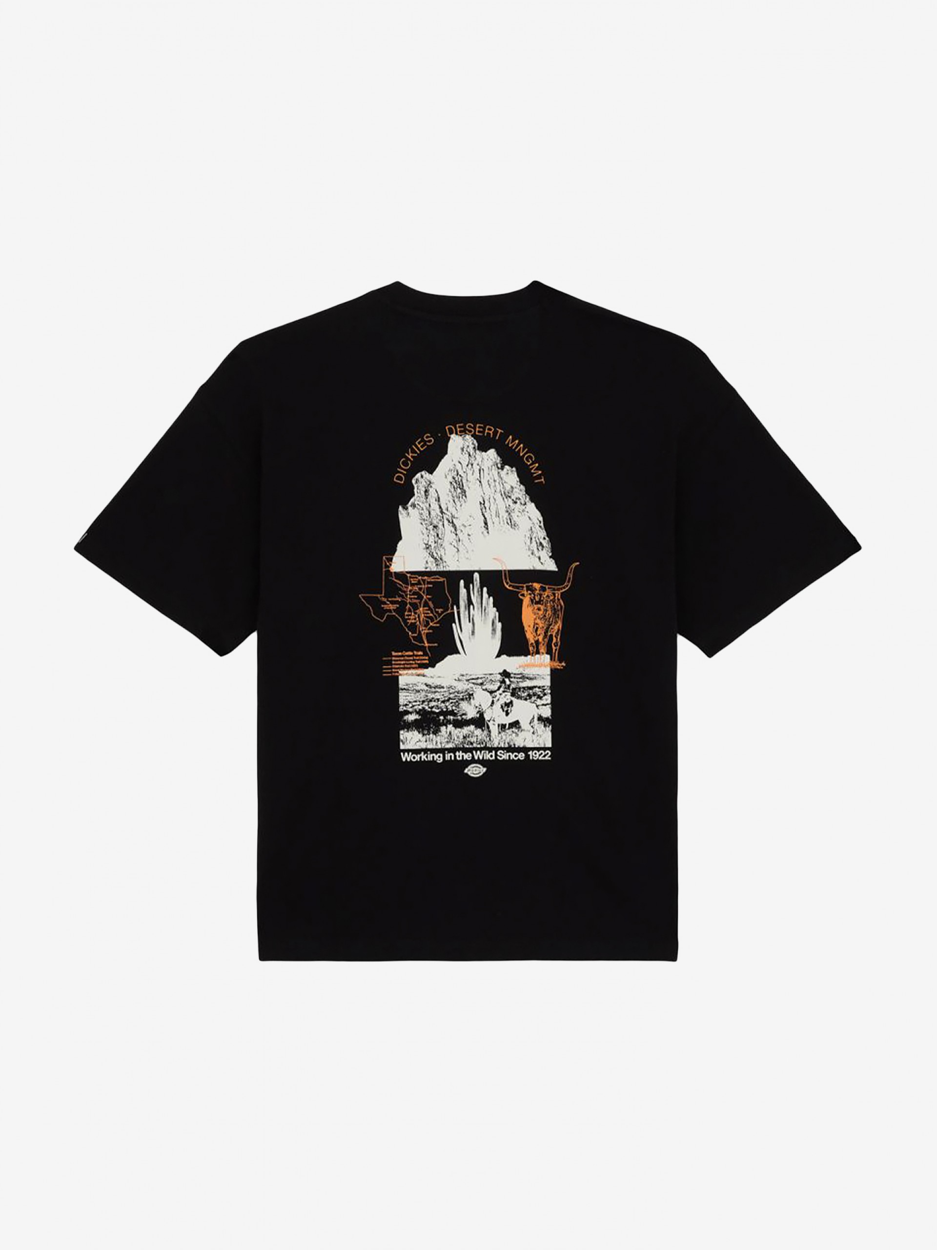 T-shirt Dickies Pearisburg