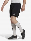 Adidas Entrada 22 Shorts