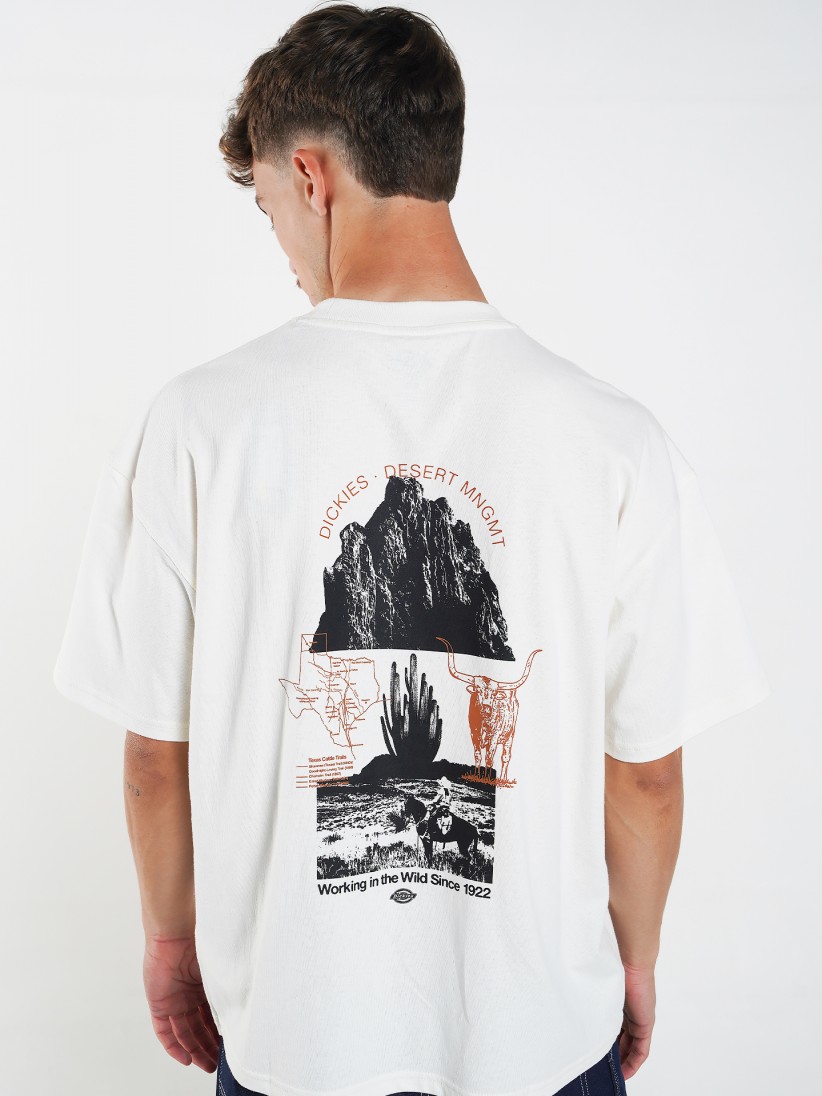 Dickies Pearisburg T-shirt