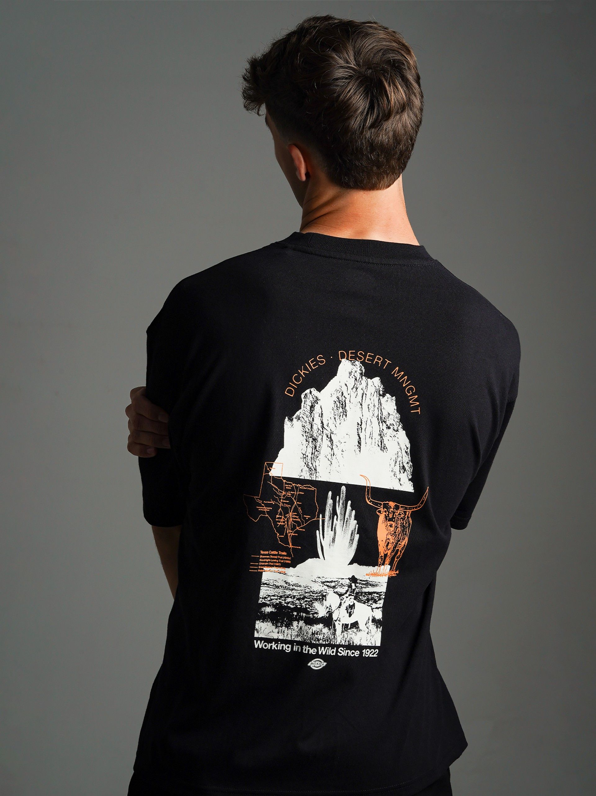 T-shirt Dickies Pearisburg