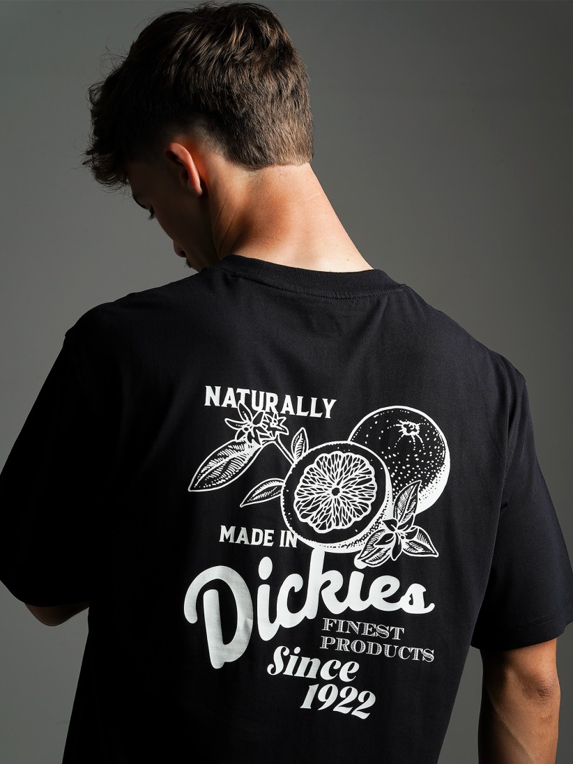 Camiseta Dickies Raven