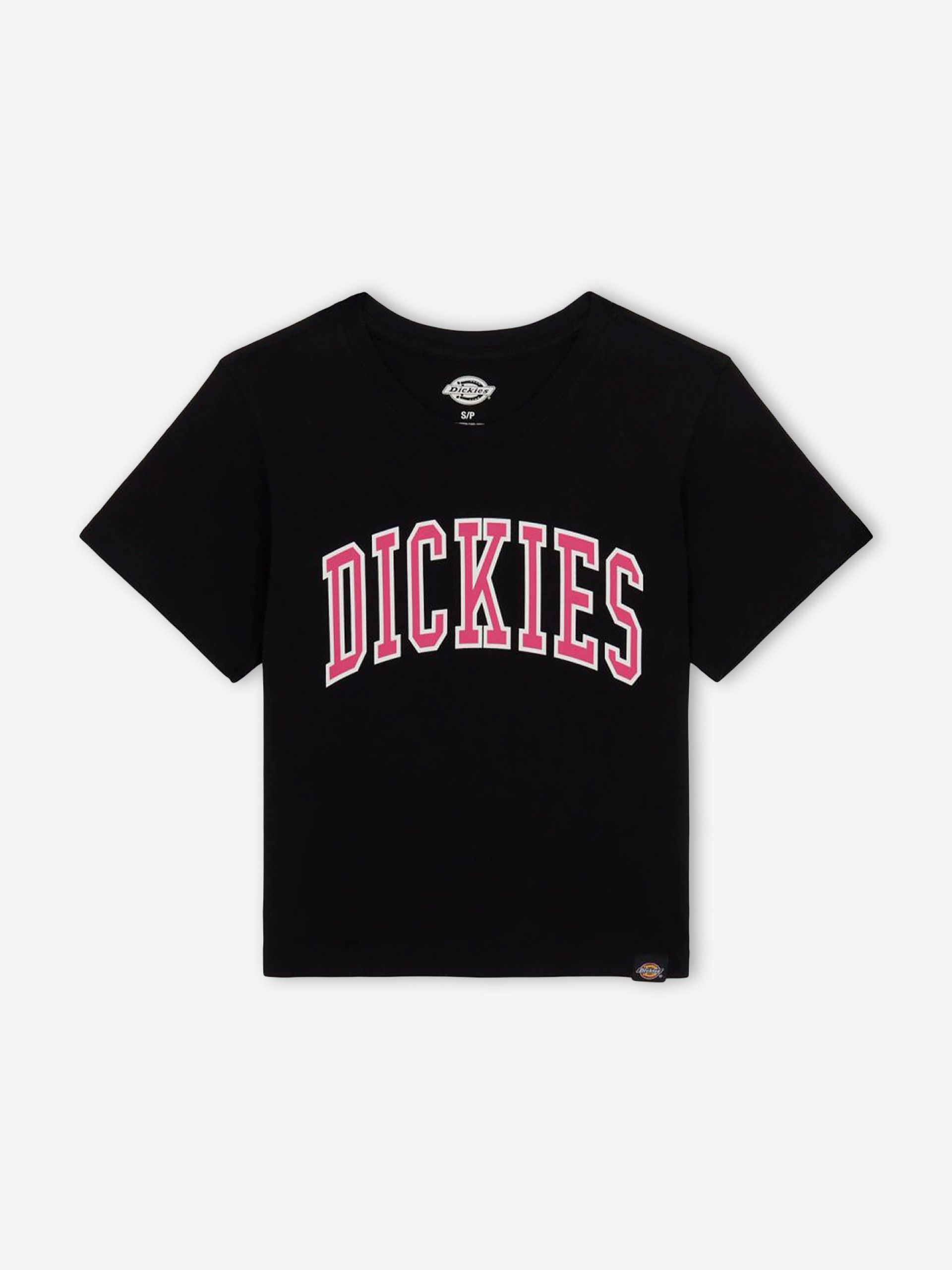 Camiseta Dickies Aitkin W
