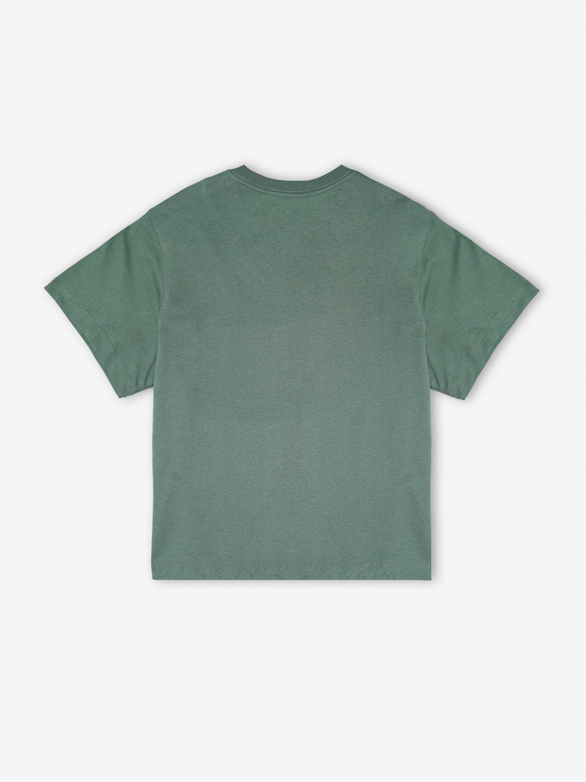 Camiseta Dickies Aitkin W